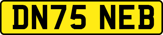 DN75NEB