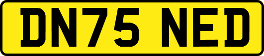 DN75NED
