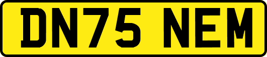DN75NEM