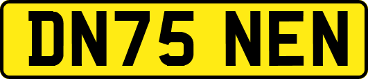 DN75NEN