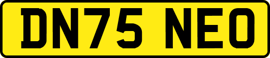 DN75NEO