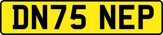 DN75NEP