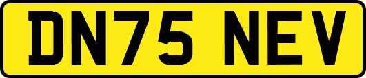 DN75NEV