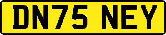 DN75NEY