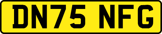 DN75NFG