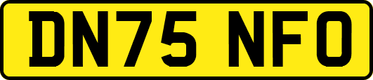 DN75NFO