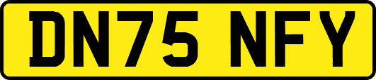 DN75NFY