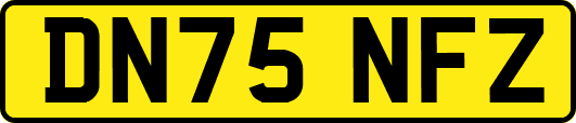 DN75NFZ