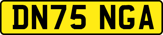 DN75NGA