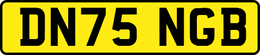 DN75NGB
