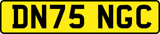 DN75NGC