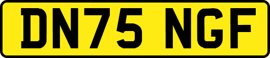 DN75NGF