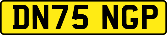 DN75NGP