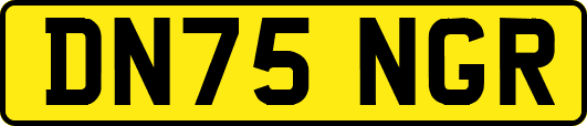 DN75NGR