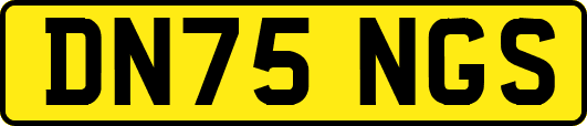 DN75NGS