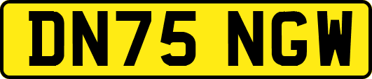 DN75NGW