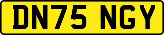 DN75NGY