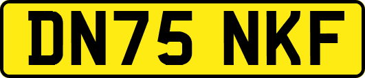DN75NKF