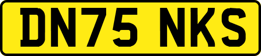 DN75NKS
