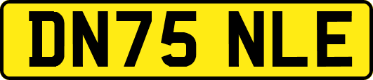 DN75NLE