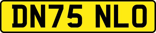 DN75NLO