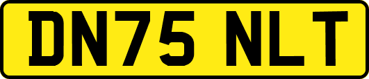 DN75NLT