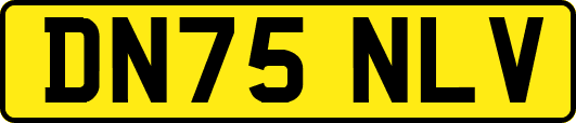 DN75NLV