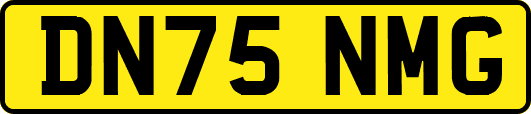 DN75NMG