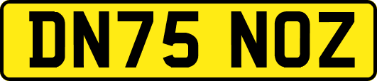 DN75NOZ