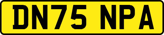 DN75NPA