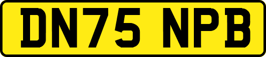 DN75NPB