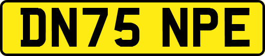 DN75NPE