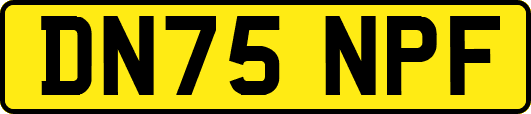 DN75NPF