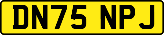 DN75NPJ