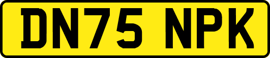 DN75NPK