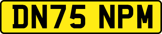 DN75NPM