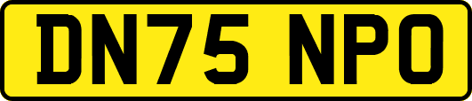 DN75NPO