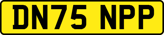 DN75NPP