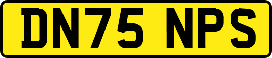 DN75NPS