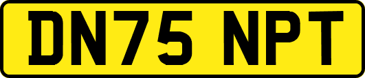 DN75NPT
