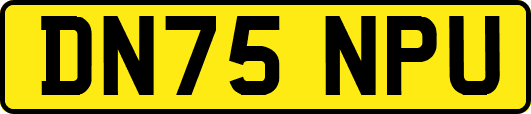 DN75NPU