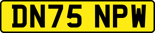 DN75NPW