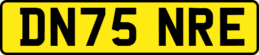 DN75NRE