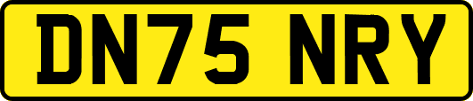 DN75NRY