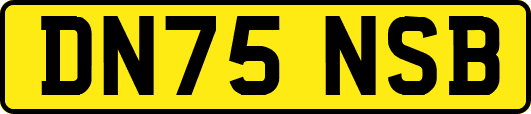DN75NSB