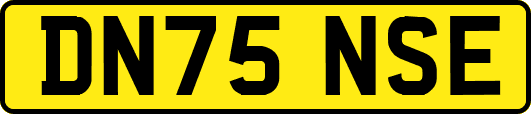 DN75NSE
