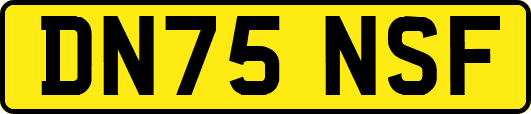 DN75NSF