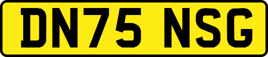 DN75NSG