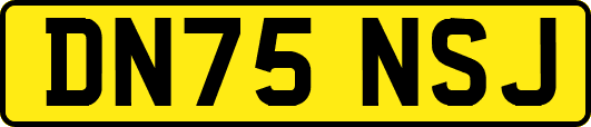 DN75NSJ