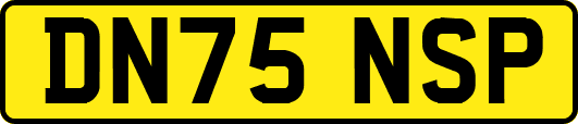 DN75NSP